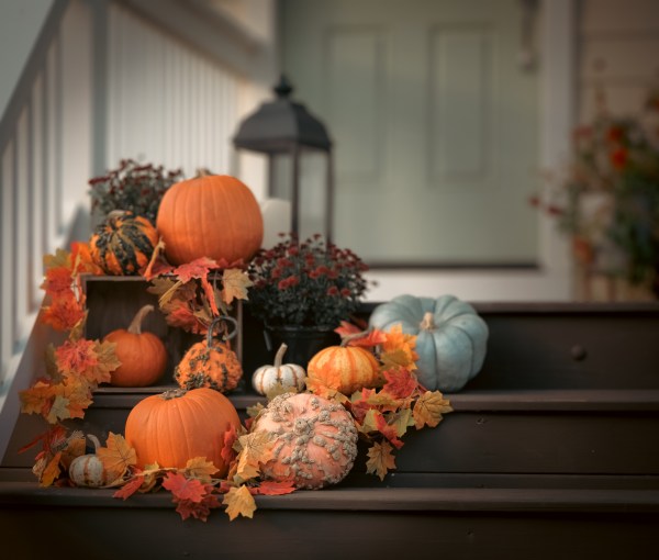 Signature Step – Fall Seasonal Porch Refresh