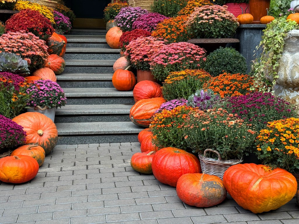 Grand Step Experience – Custom Luxury Design
